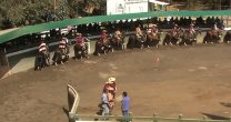 Recuerdos de la Temporada Grande: Doña Dominga ganó el Primera con Puntos de Maipo