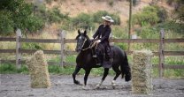 Gabriela Balmaceda: Estamos tratando de recuperar la tradición de la monta a la amazona Gabriela Balmaceda: Estamos tratando de recuperar la tradición de la monta a la amazona