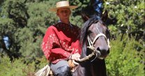 Alfredo Moreno y su cuarentena preventiva: Hay que cuidarse, por algo pasan las cosas Alfredo Moreno y su cuarentena preventiva: Hay que cuidarse, por algo pasan las cosas