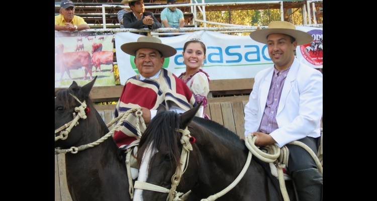 Criadero Ramahueico trabaja caballos nuevos con un cuidado muy responsable