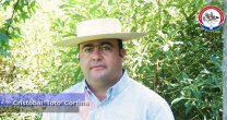 Cristóbal Cortina: Cristóbal Cortina: