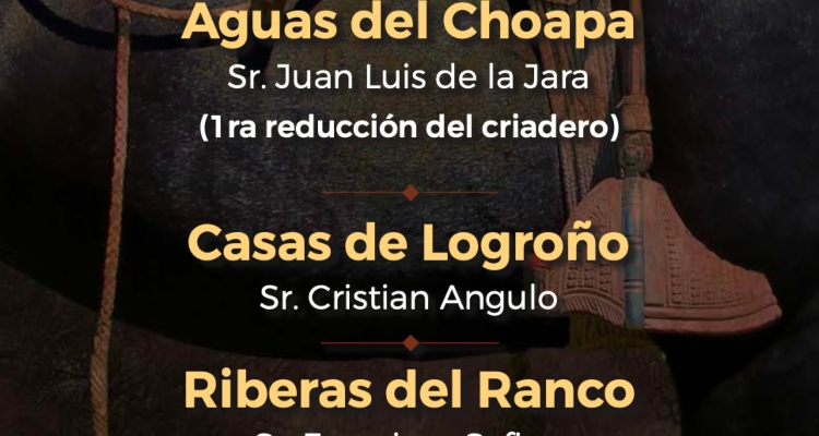 Criaderos Aguas del Choapa, Casas de Logroño y Riberas del Ranco tienen interesante remate