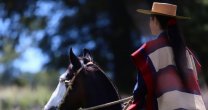 El mensaje del directorio de la Federación del Rodeo en el Día de la Mujer El mensaje del directorio de la Federación del Rodeo en el Día de la Mujer