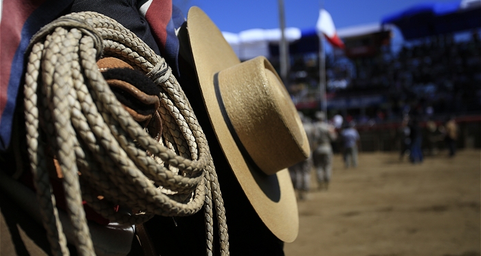 Maestro de la Escuela Ecuestre Huasa, una importante distinción creada por la Federación del Rodeo