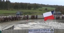 Recuerdos: El Rodeo para Criadores de Chiloé tuvo victoria de El Talismán
