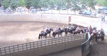 Recuerdos: Reyes y Vergara se impusieron en rodeo de Los Lingues