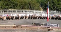 Recuerdos: Bello y Amar atajaron más que todos en rodeo del Club Trancura de Curarrehue