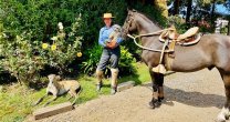 Marjorie Hermosilla: Caballoyrodeo es un canal muy importante para todos los corredores y amantes del Rodeo Marjorie Hermosilla: Caballoyrodeo es un canal muy importante para todos los corredores y amantes del Rodeo