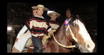 Historias del Champion de Chile, capítulo XLI: 2017 Historias del Champion de Chile, capítulo XLI: 2017