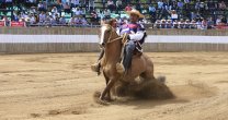Hitos del Champion de Chile: Los 9 títulos de Luis Eduardo Cortés en la Rienda Hitos del Champion de Chile: Los 9 títulos de Luis Eduardo Cortés en la Rienda