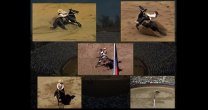 Hitos del Champion de Chile: Los 5 títulos de Romané Soto en la Rienda Hitos del Champion de Chile: Los 5 títulos de Romané Soto en la Rienda