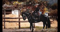 El Canal del Caballo realizó programa especial de la Monta a lo Amazona Huasa El Canal del Caballo realizó programa especial de la Monta a lo Amazona Huasa