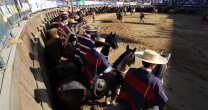 Día del Padre: Un afectuoso saludo del Directorio de la Federación del Rodeo Chileno Día del Padre: Un afectuoso saludo del Directorio de la Federación del Rodeo Chileno