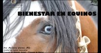 Programa Educación para los Criadores vuelve con interesante charla sobre bienestar animal Programa Educación para los Criadores vuelve con interesante charla sobre bienestar animal