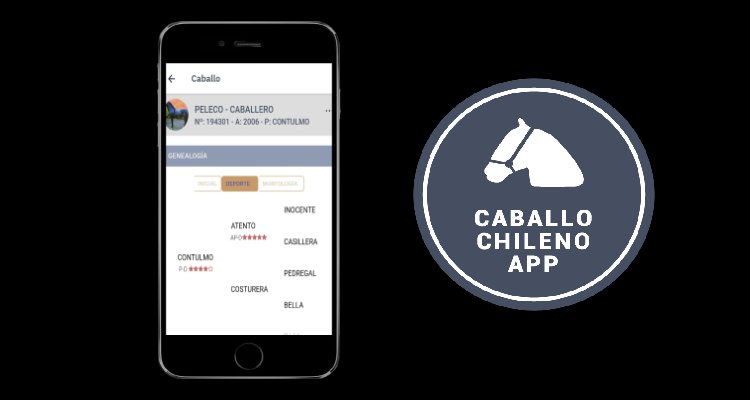 App Caballo Chileno pronto estará disponible para iPhone