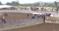 Recuerdos: Así fue la victoria de Las Callanas en el Para Criadores de Petorca