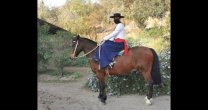 Constanza Sotomayor: Es una buena oportunidad para aprender sobre la Monta a lo Amazona Constanza Sotomayor: Es una buena oportunidad para aprender sobre la Monta a lo Amazona