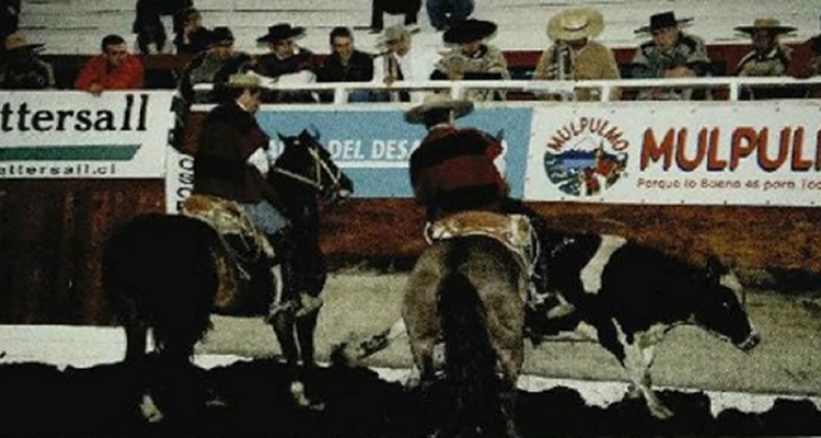 Santa Isabel Diluvio, un gran caballo que dejó un lindo recuerdo en su paso por las medialunas