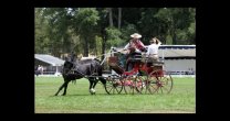 Raza Chilena: Conversamos de Enganche y Coches con José Miguel Guzmán Espínola y Elizabeth Kassis Raza Chilena: Conversamos de Enganche y Coches con José Miguel Guzmán Espínola y Elizabeth Kassis