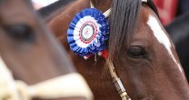 Comunicado de la Federación del Rodeo: Se mantiene la fecha del Clasificatorio de San Fernando Comunicado de la Federación del Rodeo: Se mantiene la fecha del Clasificatorio de San Fernando