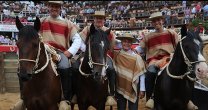 Jinetes de Colchagua quieren clasificar en casa al Campeonato Nacional Jinetes de Colchagua quieren clasificar en casa al Campeonato Nacional