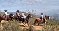 Raza Chilena: Nos adentramos en el mundo de las Cabalgatas y el Turismo Ecuestre Raza Chilena: Nos adentramos en el mundo de las Cabalgatas y el Turismo Ecuestre
