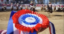 Las imágenes de la Serie de Campeones del Clasificatorio de San Fernando que entró en la historia Las imágenes de la Serie de Campeones del Clasificatorio de San Fernando que entró en la historia