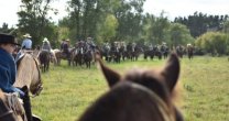Cabalgata de las Asociaciones Melipilla y Casablanca dejó maravillados a sus participantes Cabalgata de las Asociaciones Melipilla y Casablanca dejó maravillados a sus participantes