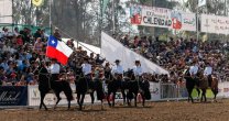 Raza Chilena: La historia, presente y futuro de las Amazonas de la Tradición Chilena