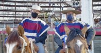 Palmas de Peñaflor: Tenemos la suerte de llegar con tres colleras a Rancagua en buenas condiciones Palmas de Peñaflor: Tenemos la suerte de llegar con tres colleras a Rancagua en buenas condiciones