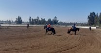 Las imágenes del Entrenamiento Jurado de Chile Reining en Calera de Tango Las imágenes del Entrenamiento Jurado de Chile Reining en Calera de Tango