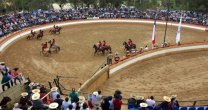Campeonato Nacional de Fenaro se correrá en Marchigüe y tendrá Serie Promocional Femenina Campeonato Nacional de Fenaro se correrá en Marchigüe y tendrá Serie Promocional Femenina