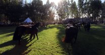 José Ignacio Alvarez-Salamanca: Creemos que esta Exposición Nacional será un muy buen evento José Ignacio Alvarez-Salamanca: Creemos que esta Exposición Nacional será un muy buen evento