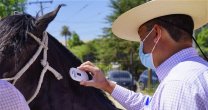 Comisión Admisión de la Expo Nacional realizó intenso trabajo en Pelarco Comisión Admisión de la Expo Nacional realizó intenso trabajo en Pelarco