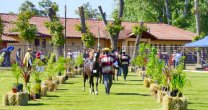 Carta Abierta a la Federación de Criadores en torno a la Expo Nacional Carta Abierta a la Federación de Criadores en torno a la Expo Nacional