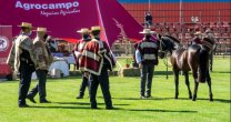 José Luis Pinochet sobre la Expo Nacional: La calidad de los caballos fue muy buena José Luis Pinochet sobre la Expo Nacional: La calidad de los caballos fue muy buena