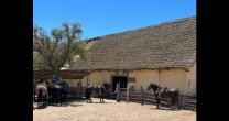 Cabalgata de Criadores de Coquimbo en Hacienda El Tangue fue un viaje al pasado Cabalgata de Criadores de Coquimbo en Hacienda El Tangue fue un viaje al pasado