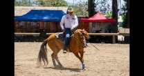 La Rienda Internacional tuvo una aplaudida presentación durante la Expo Maipo La Rienda Internacional tuvo una aplaudida presentación durante la Expo Maipo
