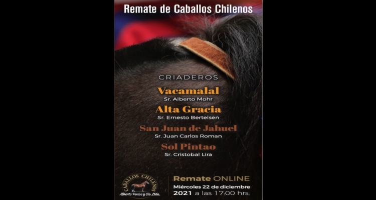 Criaderos Vacamalal, Alta Gracia, San Juan de Jahuel y Sol Pintao tienen remate virtual