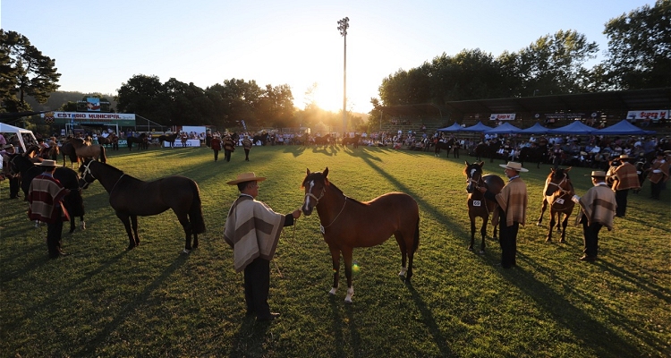 Asociación Concepción se prepara para disfrutar una grata jornada con participantes de la Expo Cabrero