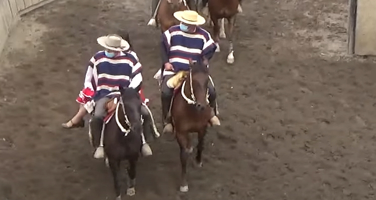 Criadero Lo Miranda completó a Lección y Orgullo en rodeo del Club El Olivar