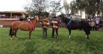 Inscripciones para Expo Nacional, Final de Rodeos Para Criadores y Aparta de Ganado Inscripciones para Expo Nacional, Final de Rodeos Para Criadores y Aparta de Ganado