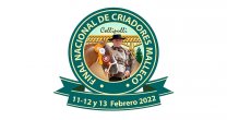 Acreditaciones de prensa para la Final de Criadores Malleco 2022 Acreditaciones de prensa para la Final de Criadores Malleco 2022