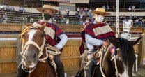 Principio en Collipulli, dos colleras en la Final y una en el cuarto toro: Principio en Collipulli, dos colleras en la Final y una en el cuarto toro: