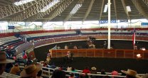 Ricardo de la Fuente y el Clasificatorio de Osorno: Ricardo de la Fuente y el Clasificatorio de Osorno: