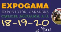 Criadores de Magallanes tendrán su exposición el 20 de marzo Criadores de Magallanes tendrán su exposición el 20 de marzo