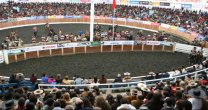 Así se desarrolla la venta de entradas para el Clasificatorio Zona Sur de Osorno Así se desarrolla la venta de entradas para el Clasificatorio Zona Sur de Osorno