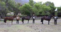 Asociación de Criadores de Atacama prepara una linda exposición para el Clasificatorio Zona Norte Asociación de Criadores de Atacama prepara una linda exposición para el Clasificatorio Zona Norte