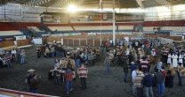 Raza Chilena: Conversamos de caballos, crianza, rienda y rodeo en la previa del Clasificatorio de Osorno