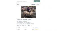Usa la App Caballo Chileno para conocer datos de los ejemplares que disputan los Clasificatorios Usa la App Caballo Chileno para conocer datos de los ejemplares que disputan los Clasificatorios